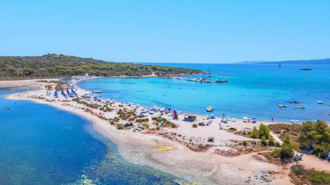 Vista aerea di una spiaggia con mare blu e vegetazione.